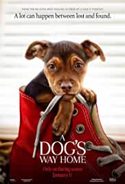 A Dogs Way Home 2019 Hindi Dubbed Movie